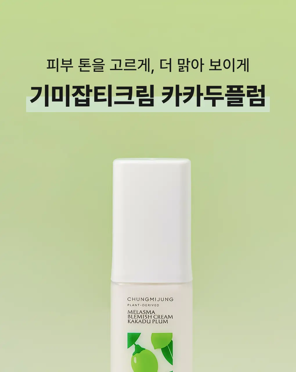 [색소침착/흔적] 청미정 기미잡티크림 카카두플럼 50g 상세페이지 1